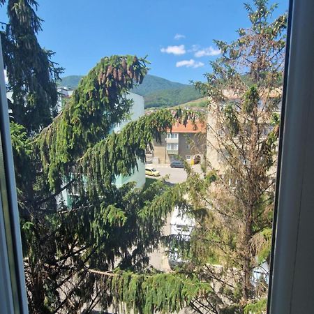 Apartament Coco Codlea Exterior foto